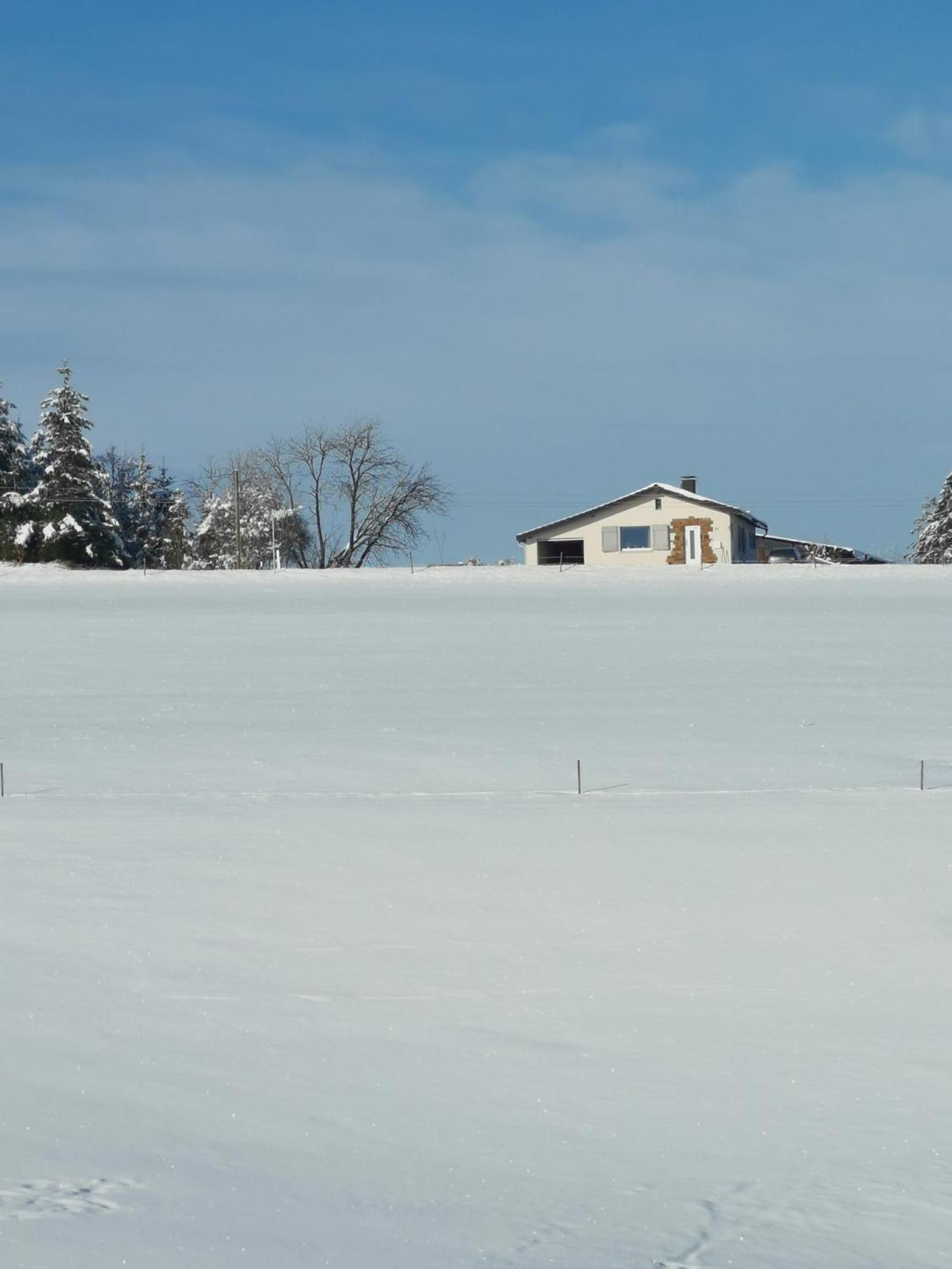 Auszeit, Erholung Mitten In Der Natur - Ferienhaus Im Sauerland In Faulebutter Finnentrop Екстер'єр фото