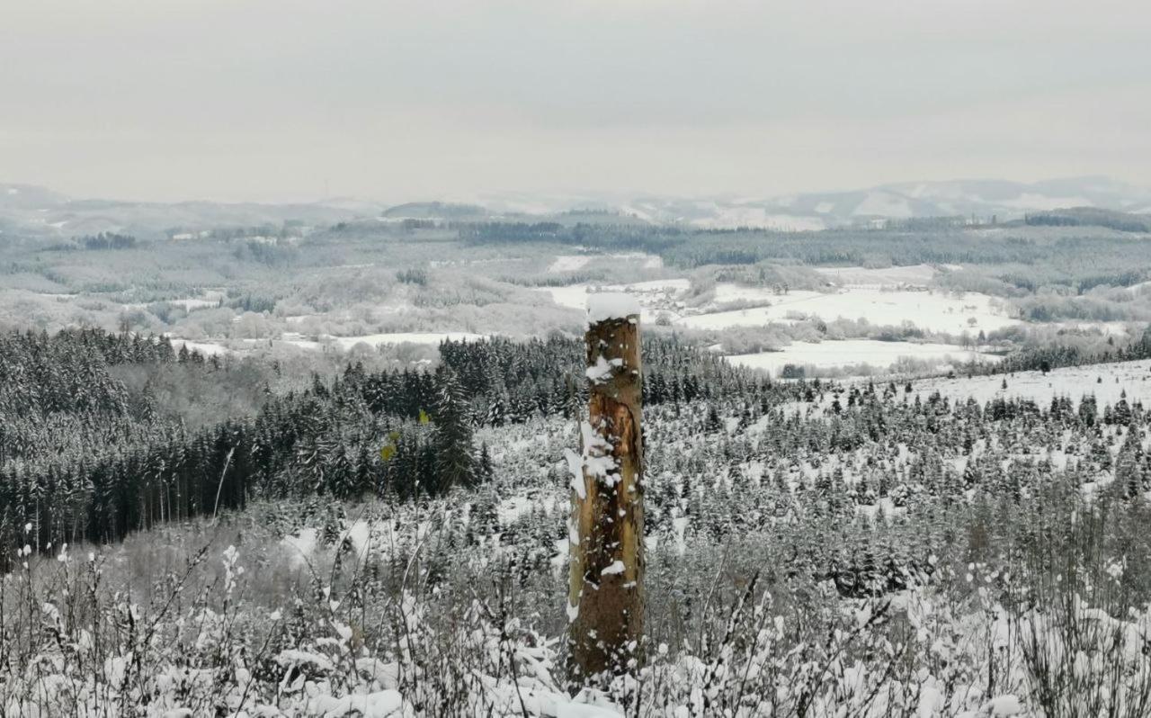 Auszeit, Erholung Mitten In Der Natur - Ferienhaus Im Sauerland In Faulebutter Finnentrop Екстер'єр фото